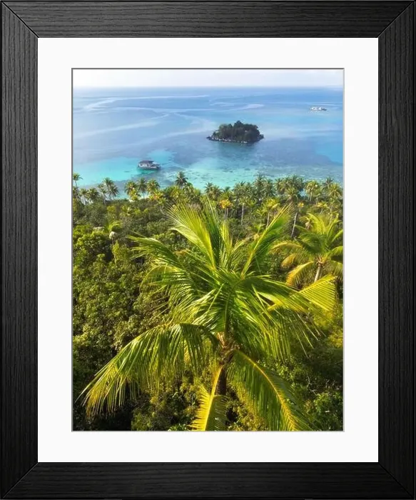 Framed Print : Indonesia Anambas Islands - Drone view Telaga Island coast line with palm trees Framed Print : Indonesia Anambas Islands - Drone view Telaga Island coast line with palm trees