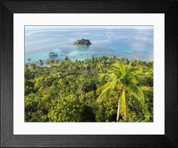 Framed Print : Indonesia Anambas Islands - Drone view Telaga Island coast line with palm trees Framed Print : Indonesia Anambas Islands - Drone view Telaga Island coast line with palm trees