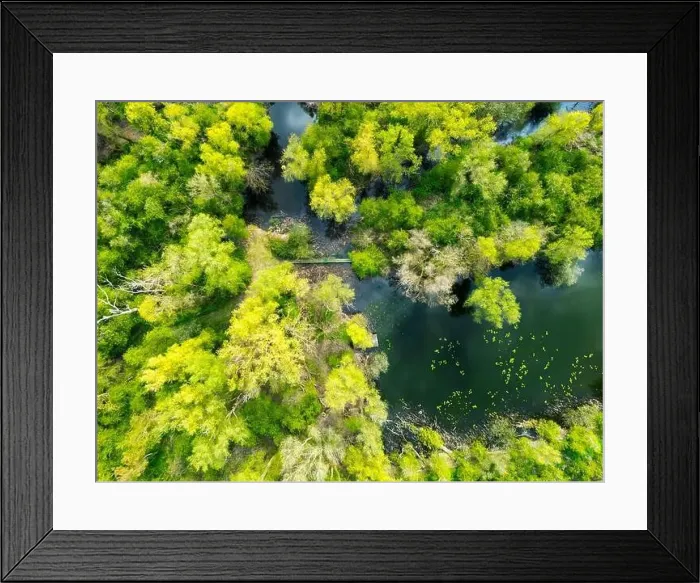Framed Print : Top down view of a famous nature reserve in the UK showing lush woodlands and a fresh water river Framed Print : Top down view of a famous nature reserve in the UK showing lush woodlands and a fresh water river