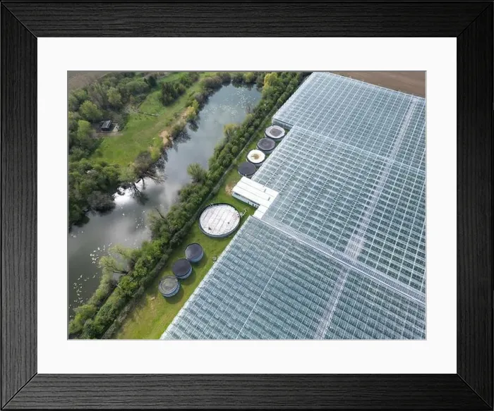 Framed Print : Drone view of a part of a huge commercial glass house growing young plants Framed Print : Drone view of a part of a huge commercial glass house growing young plants