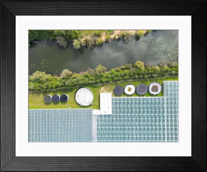 Framed Print : Drone view of a part of a huge commercial glass house growing young plants Framed Print : Drone view of a part of a huge commercial glass house growing young plants