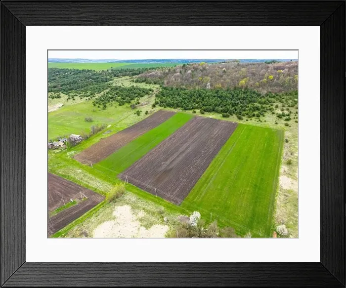 Framed Print : A bird's-eye view of a lush green countryside field, surrounded by a small forest. Rural spring scene Framed Print : A bird's-eye view of a lush green countryside field, surrounded by a small forest. Rural spring scene