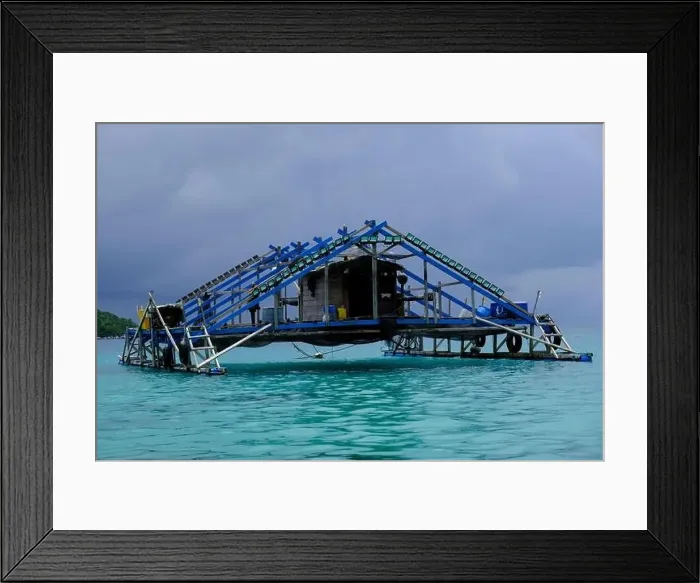 Framed Print : Indonesia Anambas Islands - Telaga Island Bagan perahu - boat to lift nets Framed Print : Indonesia Anambas Islands - Telaga Island Bagan perahu - boat to lift nets