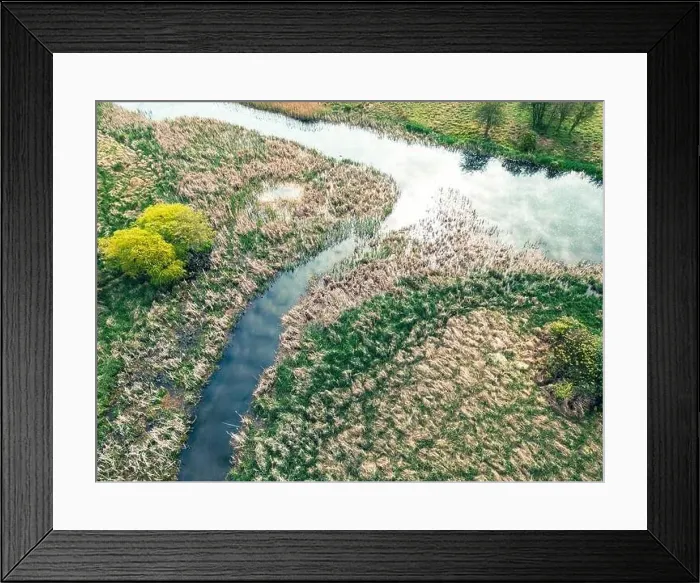 Framed Print : Drone view of marsh and a fresh inland water way famous for salmon Framed Print : Drone view of marsh and a fresh inland water way famous for salmon