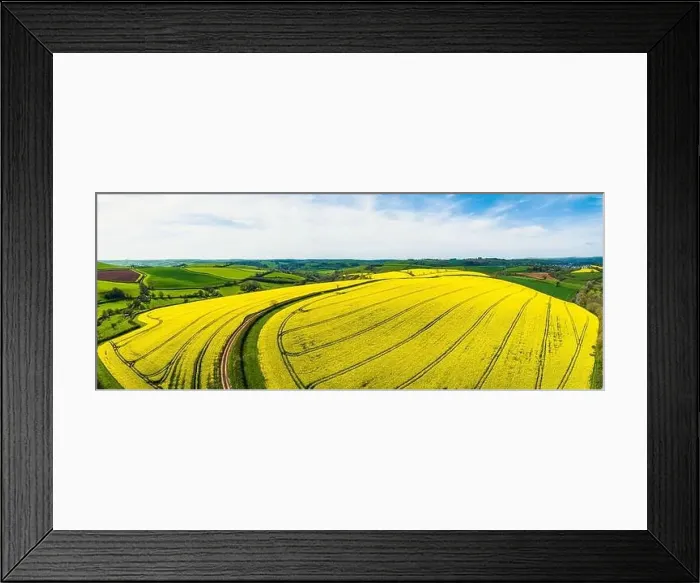 Framed Print : Rapeseed fields and farms from a drone, Devon, England Framed Print : Rapeseed fields and farms from a drone, Devon, England