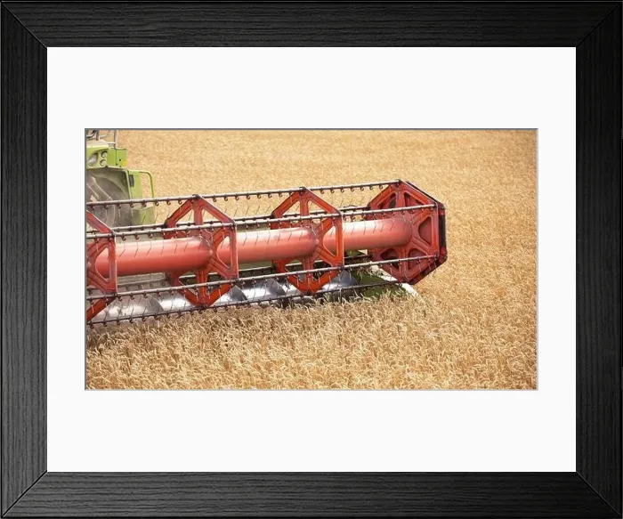 Framed Print : Witness the Harvest: A Stunning Drone Shot of a Wheat-Collecting Combine in Action