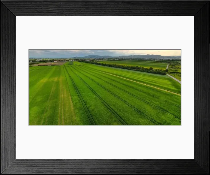 Framed Print : Aerial shot from a drone of young green wheat in Spring Framed Print : Aerial shot from a drone of young green wheat in Spring