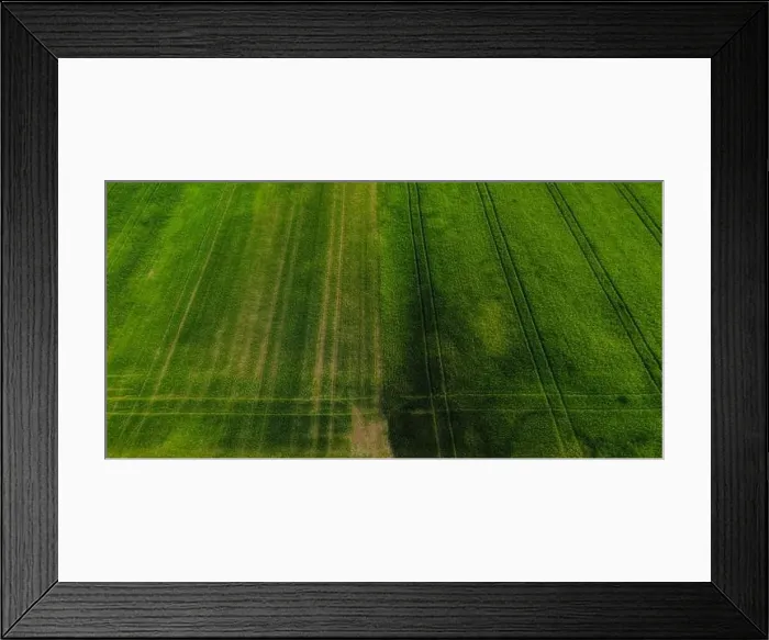 Framed Print : Aerial shot from a drone of young green wheat in Spring Framed Print : Aerial shot from a drone of young green wheat in Spring