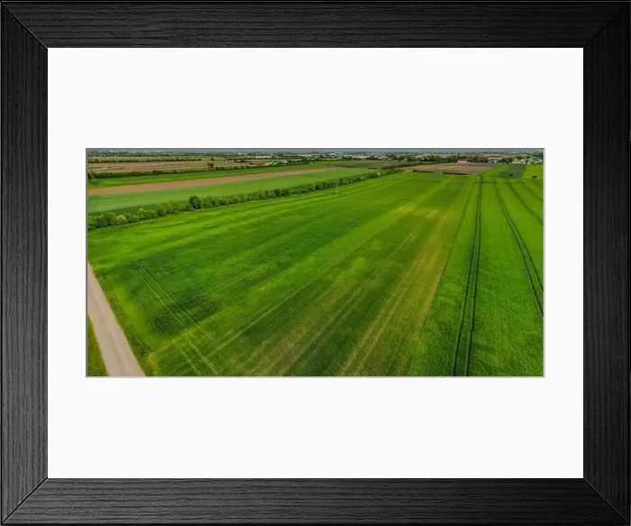 Framed Print : Aerial shot from a drone of young green wheat in Spring Framed Print : Aerial shot from a drone of young green wheat in Spring