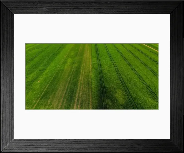 Framed Print : Aerial shot from a drone of young green wheat in Spring Framed Print : Aerial shot from a drone of young green wheat in Spring