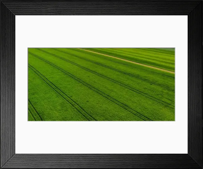 Framed Print : Aerial shot from a drone of young green wheat in Spring Framed Print : Aerial shot from a drone of young green wheat in Spring