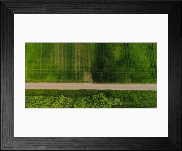 Framed Print : Aerial shot from a drone of young green wheat in Spring Framed Print : Aerial shot from a drone of young green wheat in Spring