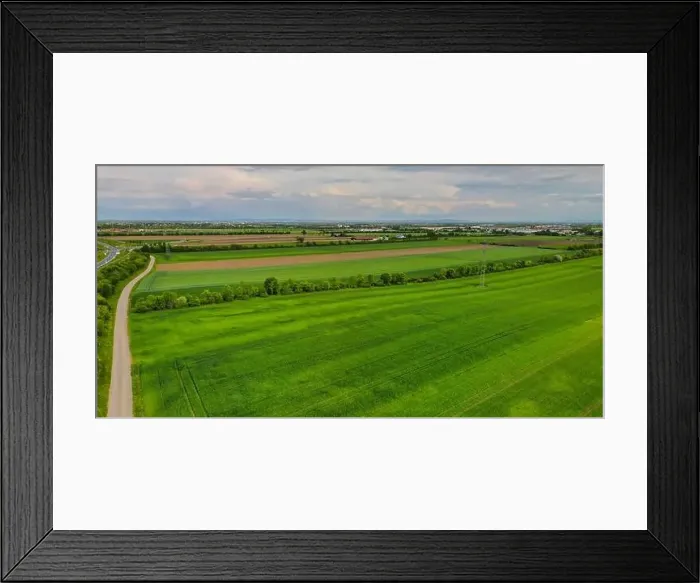 Framed Print : Aerial shot from a drone of young green wheat in Spring Framed Print : Aerial shot from a drone of young green wheat in Spring