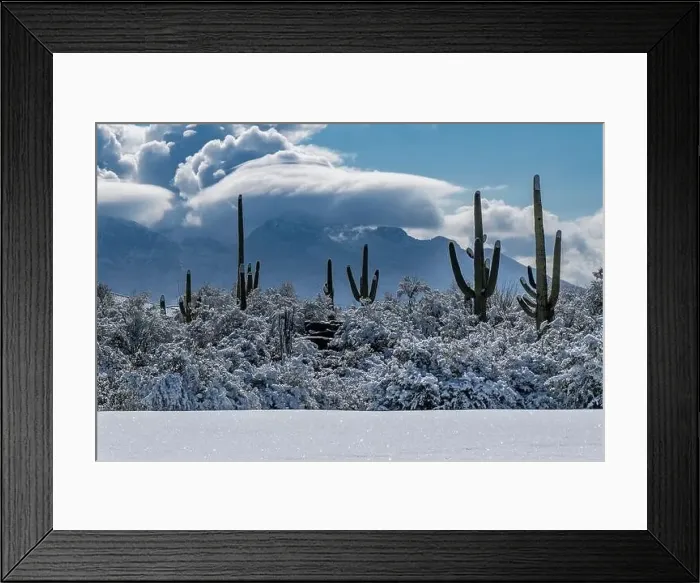 Framed Print : Sonoran Desert after a rare snowstorm Framed Print : Sonoran Desert after a rare snowstorm