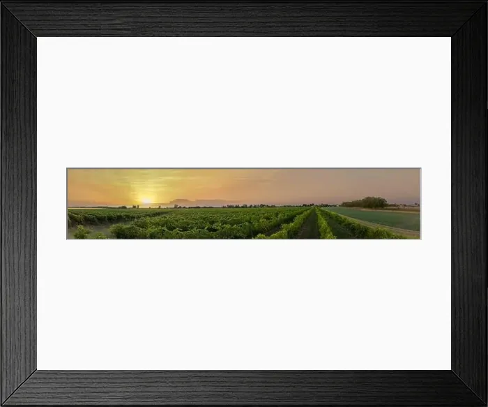Framed Print : Vineyards in Italy, Aerial view of scenic vineyards in Italy at sunset