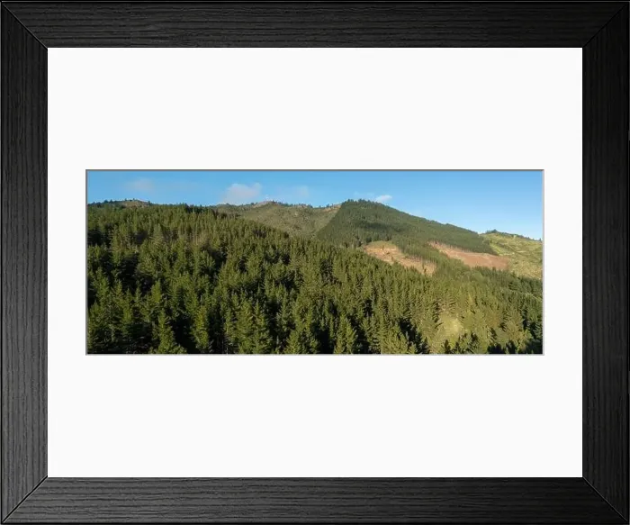 Framed Print : Panoramic aerial view of pine forest on mountain. Drone photo Framed Print : Panoramic aerial view of pine forest on mountain. Drone photo