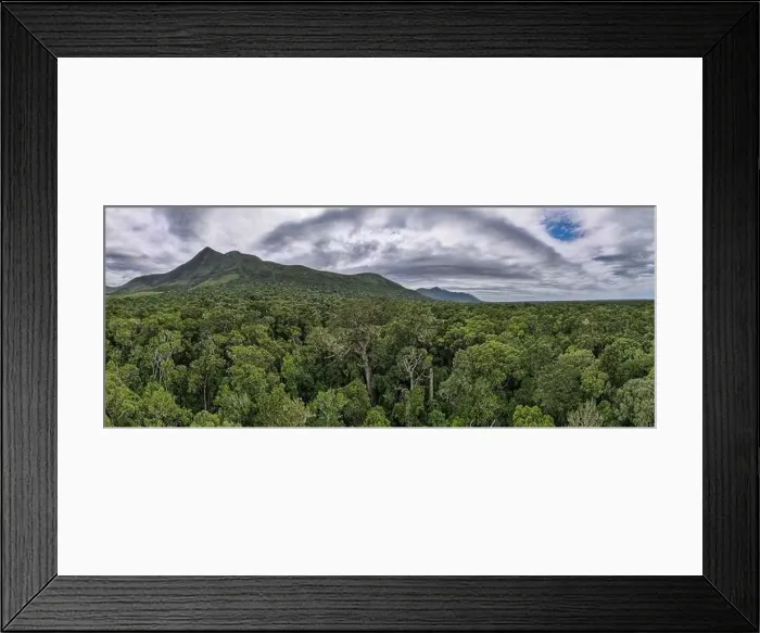 Framed Print : Drone view at the Big Tree of Tsitsikamma National Park on South Africa Framed Print : Drone view at the Big Tree of Tsitsikamma National Park on South Africa