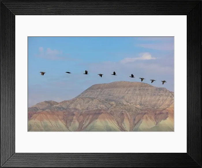 Framed Print : Aerial view of Ankara, Nallıhan Bird Paradise Framed Print : Aerial view of Ankara, Nallıhan Bird Paradise