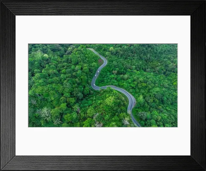 Framed Print : View photo of a road amidst shady trees, in Aceh province, Indonesia Framed Print : View photo of a road amidst shady trees, in Aceh province, Indonesia