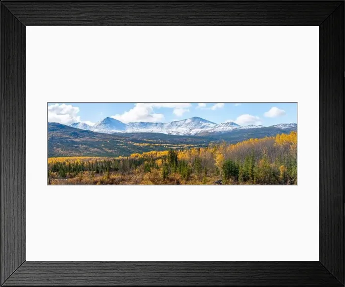 Framed Print : Fall panoramic landscape in northern Canada during autumn with bright yellow covering the arctic Yukon Territory scenic Framed Print : Fall panoramic landscape in northern Canada during autumn with bright yellow covering the arctic Yukon Territory scenic