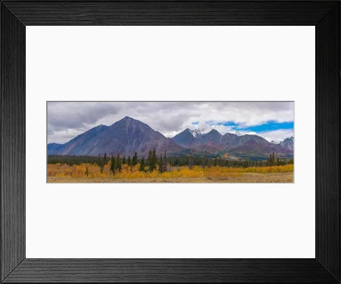 Framed Print : Fall panoramic landscape in northern Canada during autumn with bright yellow covering the arctic Yukon Territory scenic Framed Print : Fall panoramic landscape in northern Canada during autumn with bright yellow covering the arctic Yukon Territory scenic