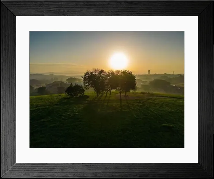 Framed Print : Serdang Agriculture Farm Framed Print : Serdang Agriculture Farm