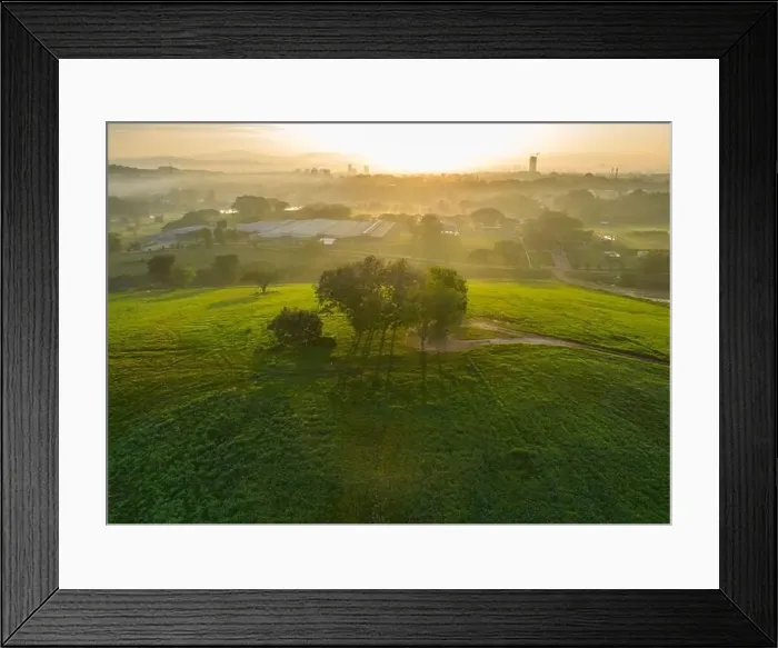 Framed Print : Serdang Agriculture Farm Framed Print : Serdang Agriculture Farm