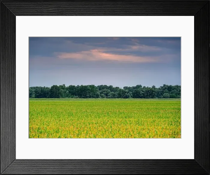 Framed Print : Dry intermittent Lake Cerknica Framed Print : Dry intermittent Lake Cerknica