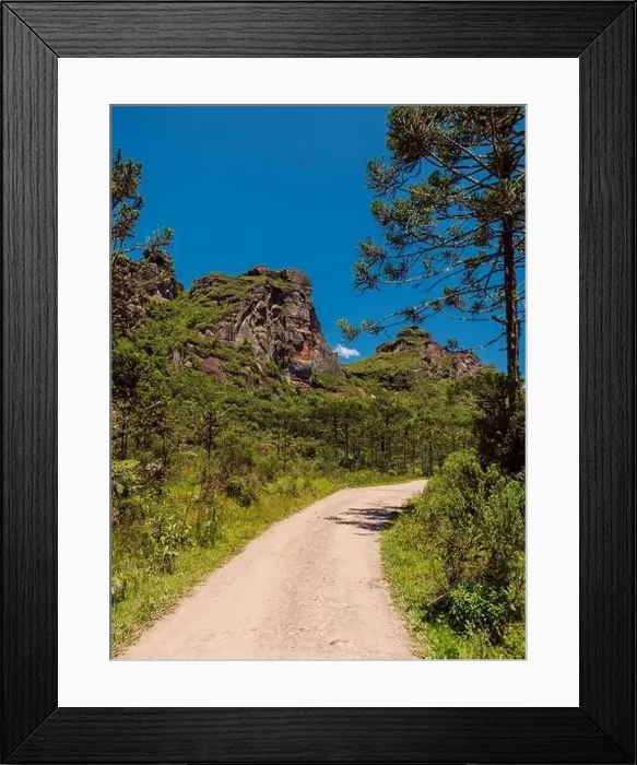 Framed Print : Morro dos Cabritos canyon with trees, rock and road in Santa Catarina, Brazil Framed Print : Morro dos Cabritos canyon with trees, rock and road in Santa Catarina, Brazil