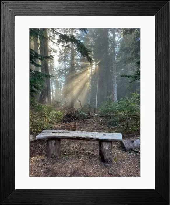 Framed Print : High Rock Trail to view Mount Rainier in Washington State Framed Print : High Rock Trail to view Mount Rainier in Washington State