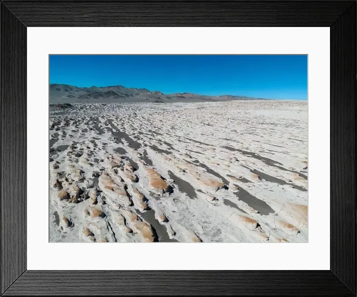 Framed Print : PUNA - Campo de Piedra Pomez, a bizarre but beautiful landscape in the Argentinian highlands with a field of pumice Framed Print : PUNA - Campo de Piedra Pomez, a bizarre but beautiful landscape in the Argentinian highlands with a field of pumice