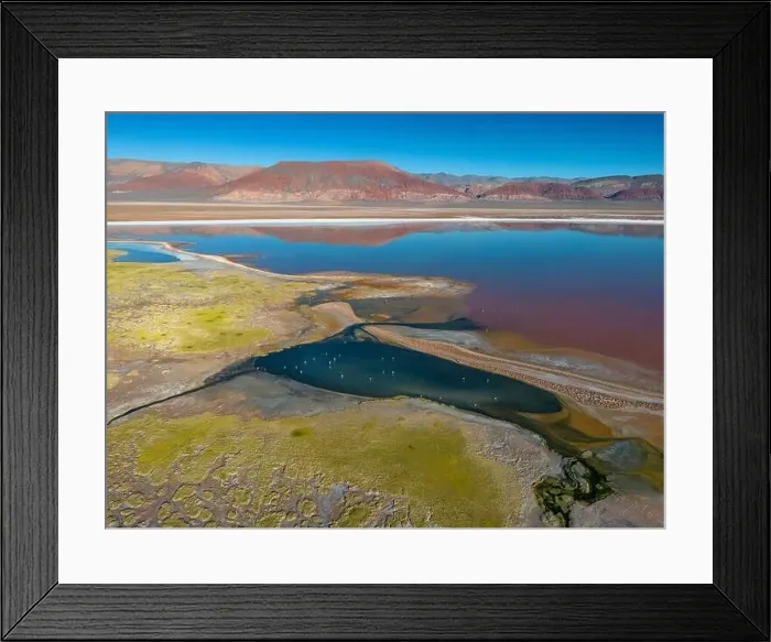 Framed Print : Argentina: Puna - aerial view of the colorful Laguna Carachi Pampa Framed Print : Argentina: Puna - aerial view of the colorful Laguna Carachi Pampa