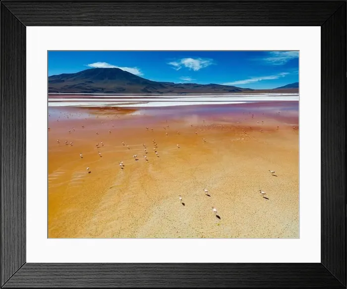 Framed Print : Aerial view of flamingos in the colorful Laguna Colorada in the remote Fauna Andina Eduardo Avaroa National Reserve in Framed Print : Aerial view of flamingos in the colorful Laguna Colorada in the remote Fauna Andina Eduardo Avaroa National Reserve in