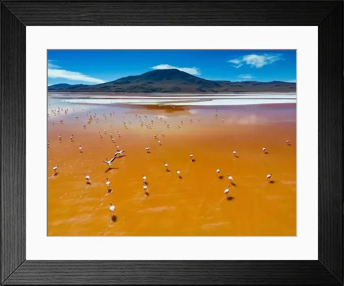 Framed Print : Aerial view of flamingos in the colorful Laguna Colorada in the remote Fauna Andina Eduardo Avaroa National Reserve in Framed Print : Aerial view of flamingos in the colorful Laguna Colorada in the remote Fauna Andina Eduardo Avaroa National Reserve in