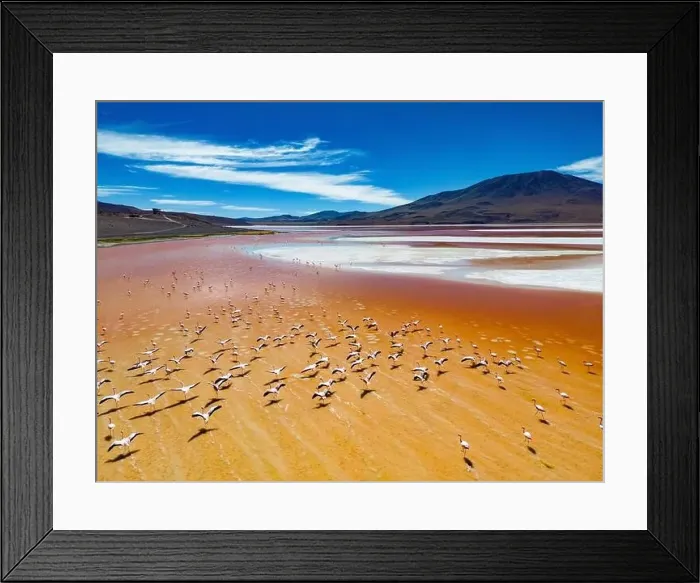 Framed Print : Aerial view of flamingos in the colorful Laguna Colorada in the remote Fauna Andina Eduardo Avaroa National Reserve in Framed Print : Aerial view of flamingos in the colorful Laguna Colorada in the remote Fauna Andina Eduardo Avaroa National Reserve in