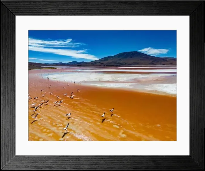 Framed Print : Aerial view of flamingos in the colorful Laguna Colorada in the remote Fauna Andina Eduardo Avaroa National Reserve in Framed Print : Aerial view of flamingos in the colorful Laguna Colorada in the remote Fauna Andina Eduardo Avaroa National Reserve in