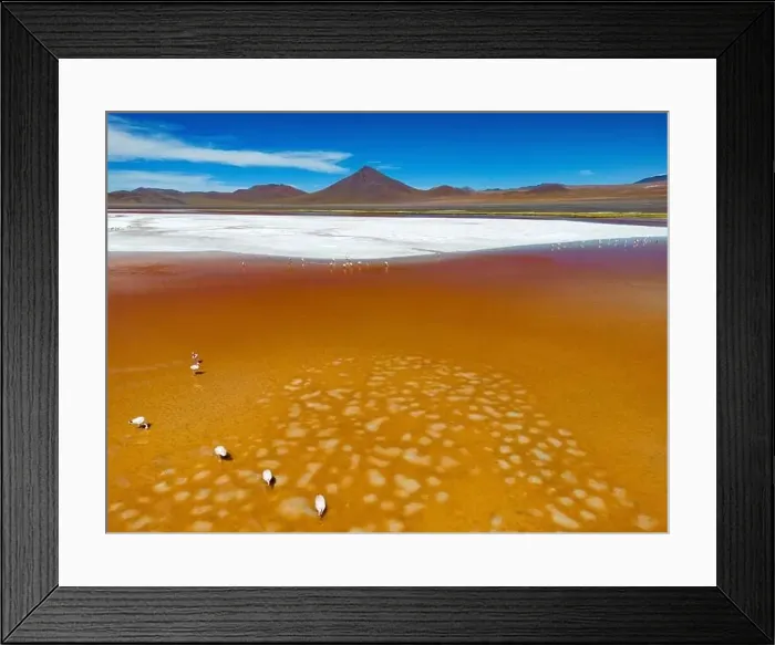 Framed Print : Aerial view of flamingos in the colorful Laguna Colorada in the remote Fauna Andina Eduardo Avaroa National Reserve in Framed Print : Aerial view of flamingos in the colorful Laguna Colorada in the remote Fauna Andina Eduardo Avaroa National Reserve in