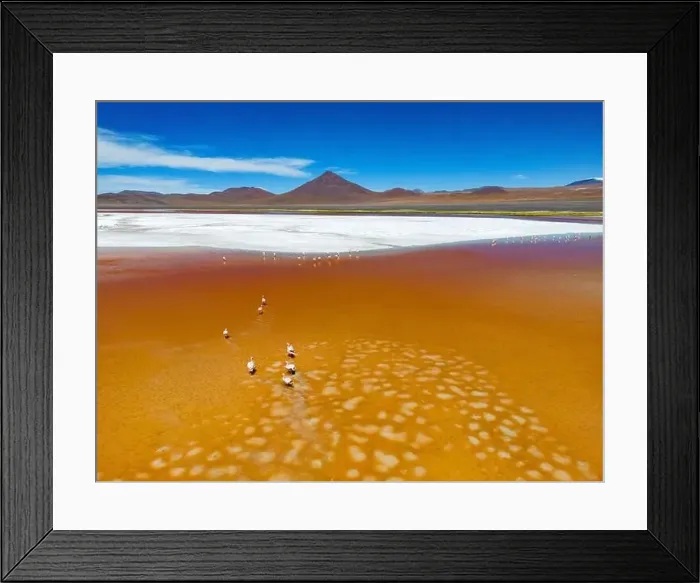 Framed Print : Aerial view of flamingos in the colorful Laguna Colorada in the remote Fauna Andina Eduardo Avaroa National Reserve in Framed Print : Aerial view of flamingos in the colorful Laguna Colorada in the remote Fauna Andina Eduardo Avaroa National Reserve in
