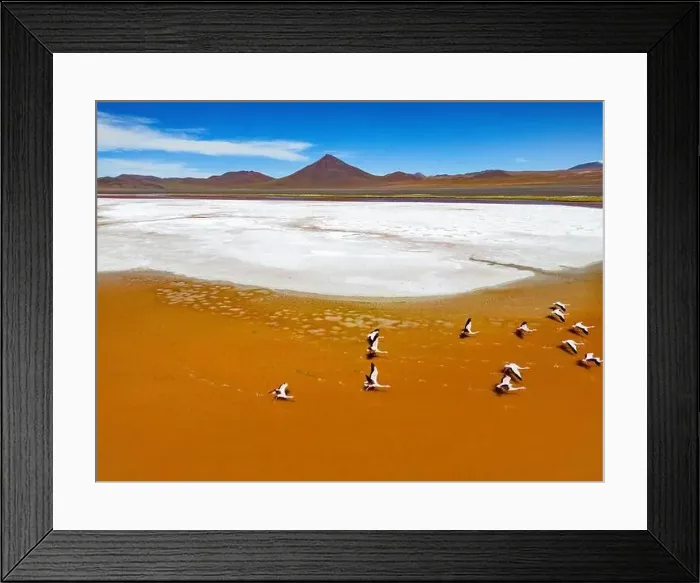 Framed Print : Aerial view of flamingos in the colorful Laguna Colorada in the remote Fauna Andina Eduardo Avaroa National Reserve in Framed Print : Aerial view of flamingos in the colorful Laguna Colorada in the remote Fauna Andina Eduardo Avaroa National Reserve in