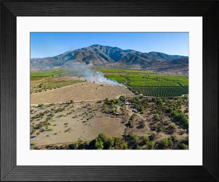 Framed Print : Aerial view of citriculture in Petorca in Chile, South America - plantation of citrus fruits Framed Print : Aerial view of citriculture in Petorca in Chile, South America - plantation of citrus fruits