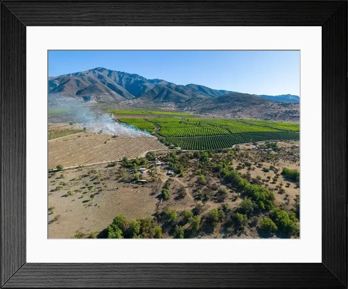 Framed Print : Aerial view of citriculture in Petorca in Chile, South America - plantation of citrus fruits Framed Print : Aerial view of citriculture in Petorca in Chile, South America - plantation of citrus fruits