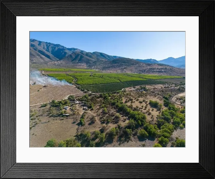 Framed Print : Aerial view of citriculture in Petorca in Chile, South America - plantation of citrus fruits Framed Print : Aerial view of citriculture in Petorca in Chile, South America - plantation of citrus fruits