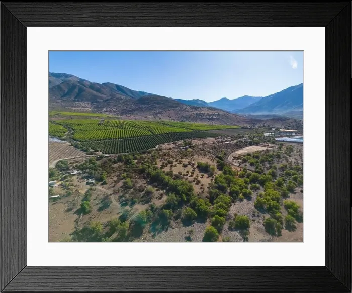 Framed Print : Aerial view of citriculture in Petorca in Chile, South America - plantation of citrus fruits Framed Print : Aerial view of citriculture in Petorca in Chile, South America - plantation of citrus fruits