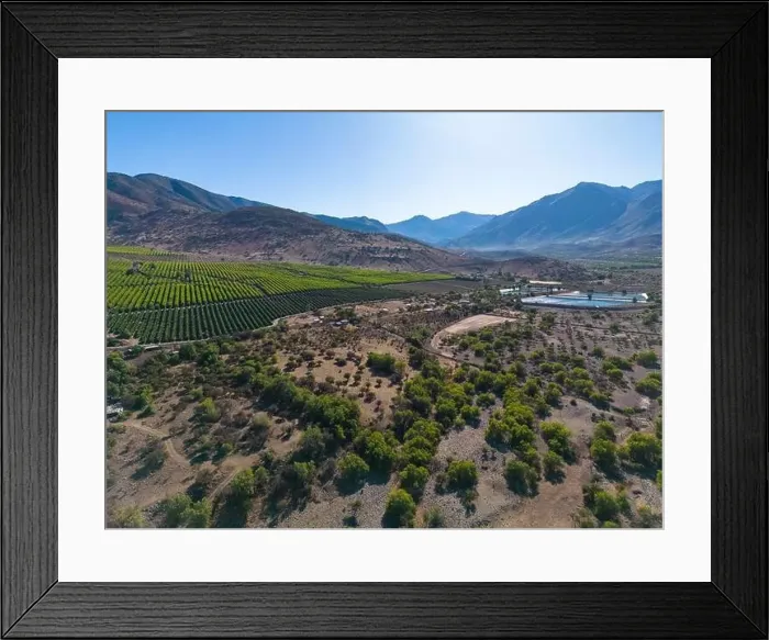 Framed Print : Aerial view of citriculture in Petorca in Chile, South America - plantation of citrus fruits Framed Print : Aerial view of citriculture in Petorca in Chile, South America - plantation of citrus fruits