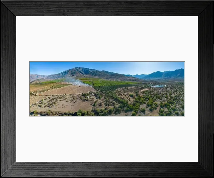 Framed Print : Aerial view of citriculture in Petorca in Chile, South America - plantation of citrus fruits - Panorama Framed Print : Aerial view of citriculture in Petorca in Chile, South America - plantation of citrus fruits - Panorama