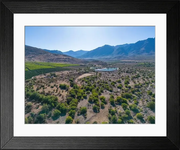 Framed Print : Aerial view of citriculture in Petorca in Chile, South America - plantation of citrus fruits Framed Print : Aerial view of citriculture in Petorca in Chile, South America - plantation of citrus fruits