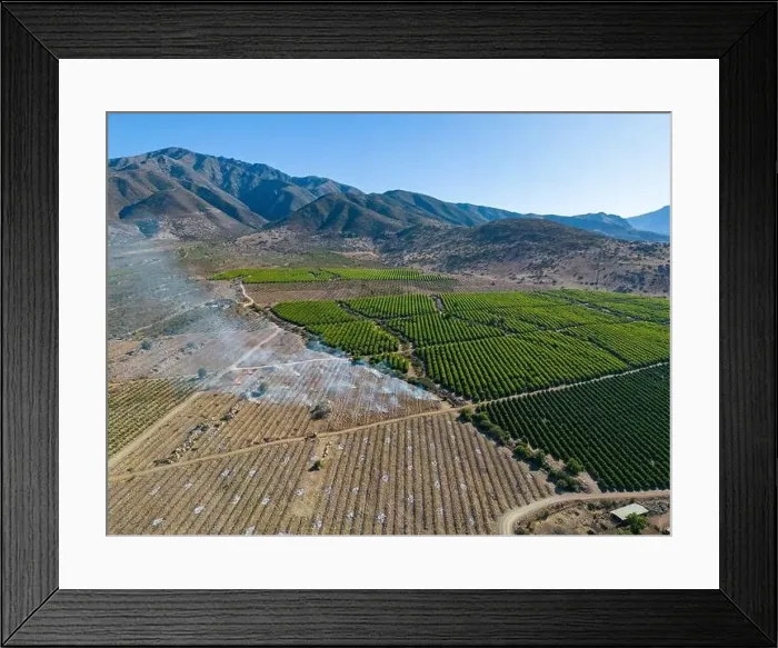 Framed Print : Aerial view of citriculture in Petorca in Chile, South America - plantation of citrus fruits Framed Print : Aerial view of citriculture in Petorca in Chile, South America - plantation of citrus fruits