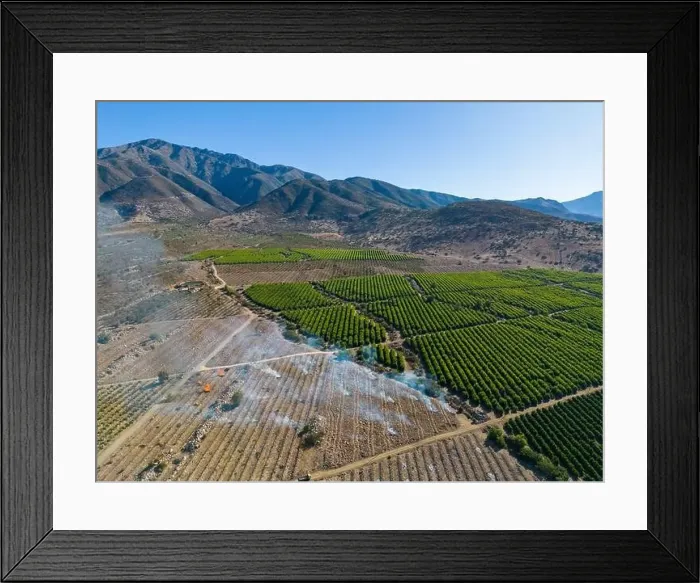 Framed Print : Aerial view of citriculture in Petorca in Chile, South America - plantation of citrus fruits Framed Print : Aerial view of citriculture in Petorca in Chile, South America - plantation of citrus fruits
