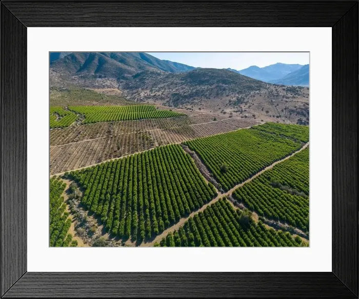 Framed Print : Aerial view of citriculture in Petorca in Chile, South America - plantation of citrus fruits Framed Print : Aerial view of citriculture in Petorca in Chile, South America - plantation of citrus fruits