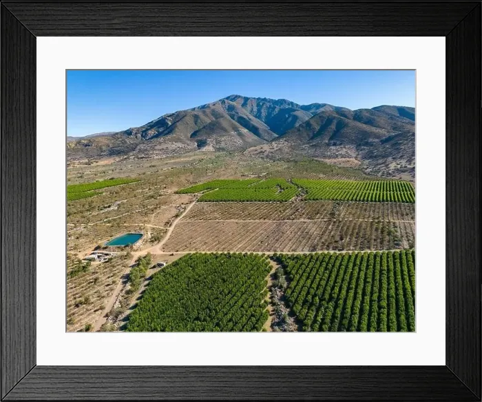 Framed Print : Aerial view of citriculture in Petorca in Chile, South America - plantation of citrus fruits Framed Print : Aerial view of citriculture in Petorca in Chile, South America - plantation of citrus fruits